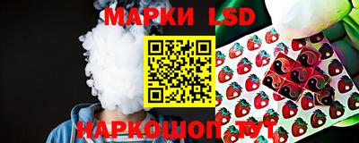 спиды Сланцы