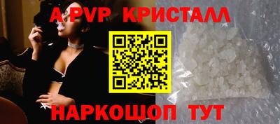 спиды Сланцы